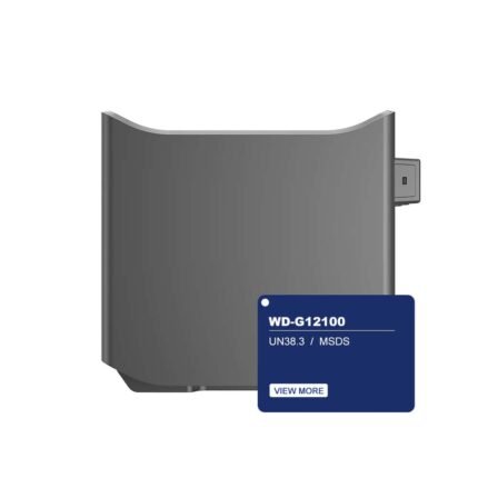 Batterie Deye WD-G12100 12.8 V 100 Ah